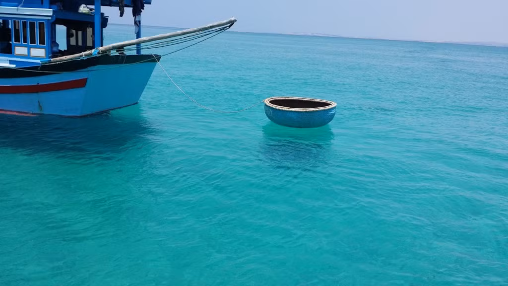 Từ đất liền, xuất phát từ thị trấn Liên Hương du khách có thể lên đảo bằng ghe đánh cá của ngư dân hoặc bằng tàu cao tốc. Rất nhanh, chỉ có 45 phút là bạn có thể đặt chân đến đảo Cù Lao Câu.