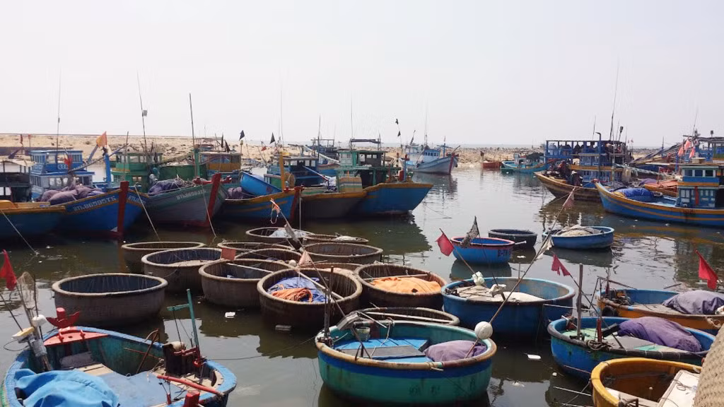 Bạn nên chuẩn bị trước thức ăn, nước uống, vì trên đảo chỉ có một giếng nước ngọt. Đa số nước ngọt đều được vận chuyển ra từ đất liền. Để phục vụ nhu cầu du lịch, trên đảo đã hình thành vài quán ăn nhỏ, khách có thể nghỉ ngơi và thưởng thức sản vật biển.