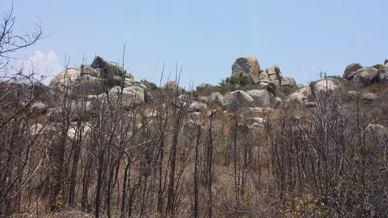 Bình Thuận vốn nổi tiếng là nắng gió, cây cối trên đảo thường không xanh tốt. Từ tháng 3 đến tháng 6, trời không không mưa nên cây cối khô cằn.