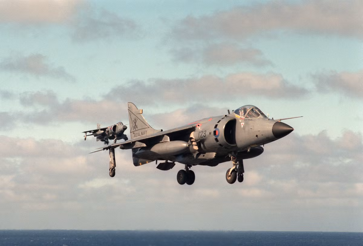 Sea Harrier có thể mang 3,6 tấn vũ khí trên 7 giá treo gồm các loại rocket, tên lửa không đối không AIM-9 hoặc AIM-120 hoặc Derby; tên lửa không đối đất; tên lửa chống hạm và các loại bom thông thường.