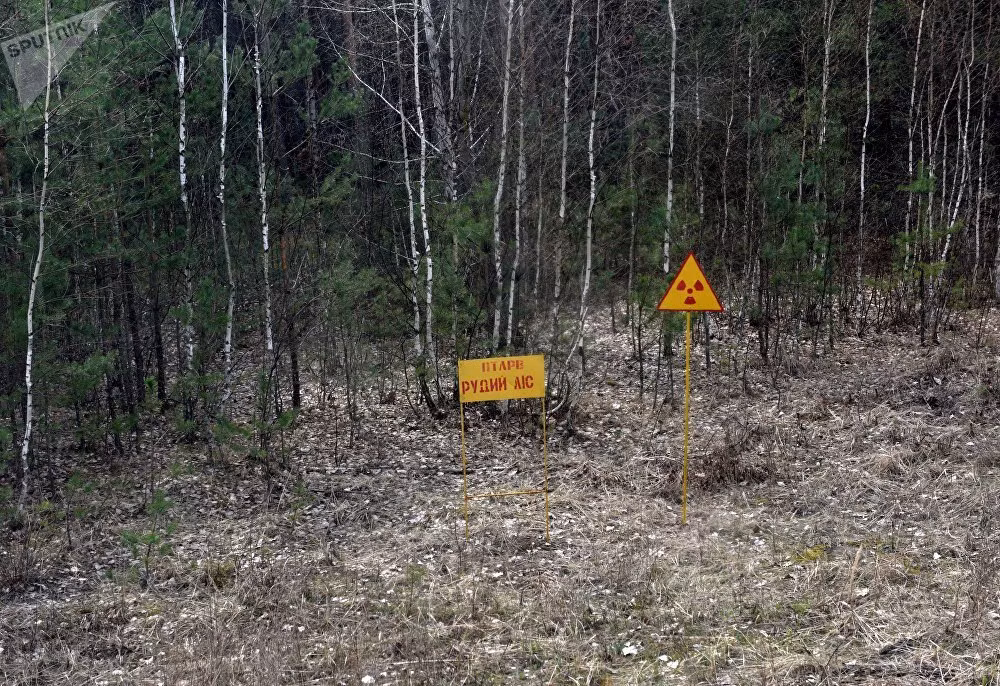 Hàng loạt biển báo cấm tại Khu cấm vào ở Chernobyl này.