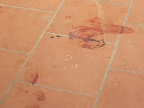 Một vết máu khác tại hiện trường vụ án mạng.