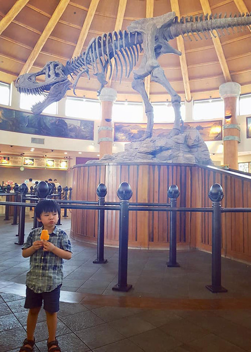 Cậu nhóc thường xuyên được bố mẹ đưa đi du lịch ngay từ khi còn nhỏ.