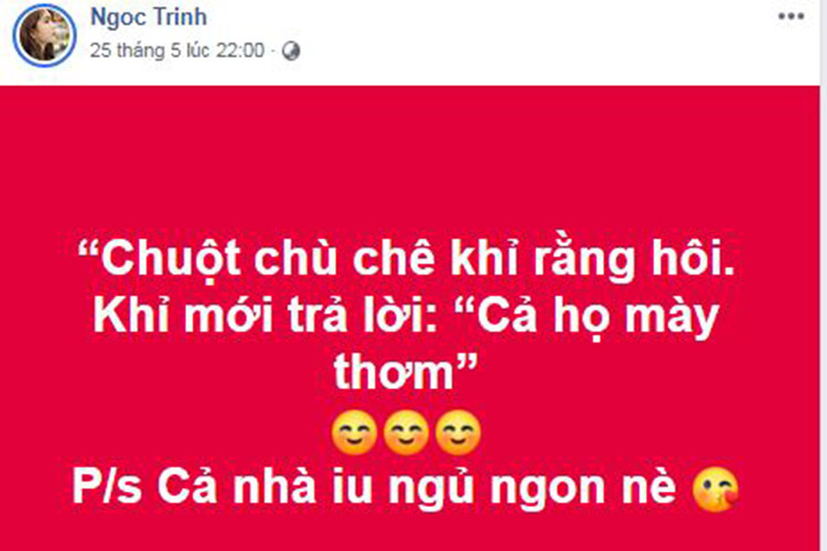 Giữa ồn ào, Ngọc Trinh mới đây mượn câu ca dao chuột khỉ để mỉa mai một ai đó.