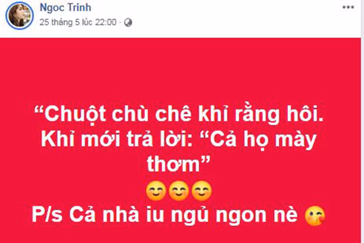 Giữa ồn ào, Ngọc Trinh mới đây mượn câu ca dao chuột khỉ để mỉa mai một ai đó.