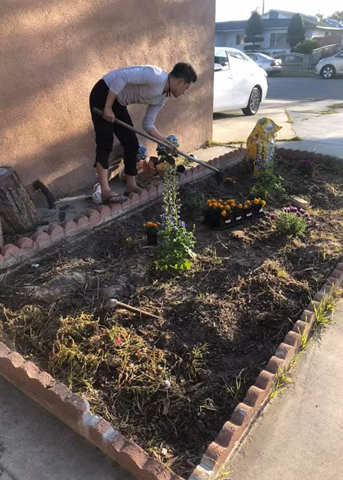 Sang Mỹ, Hoàng Anh tự tay thiết kế khu vườn nhỏ đầy hoa cho cô con gái.