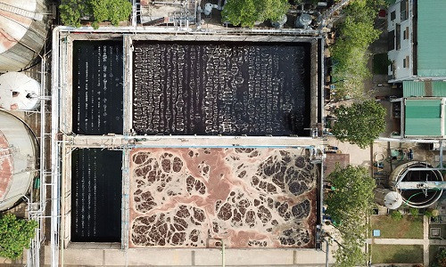 Cong ty men gay hoi gan 20 nam: Lua dan ky danh gia tac dong moi truong?