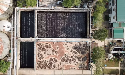 Cong ty men gay hoi gan 20 nam: Lua dan ky danh gia tac dong moi truong?