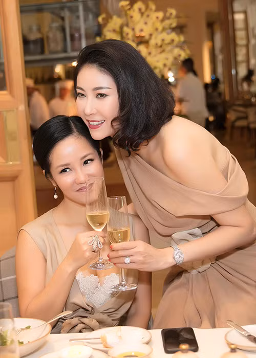 Hình ảnh Hồng Nhung đến dự tiệc sinh nhật của cô bạn thân Hà Kiều Anh cách đây không lâu.