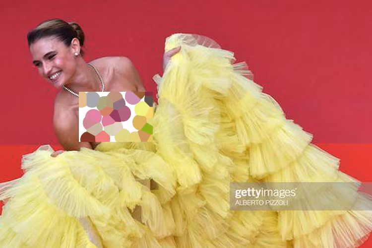 Fernanda Liz vừa xuất hiện trên thảm đỏ liên hoan phim Cannes 2019 ngày 9.