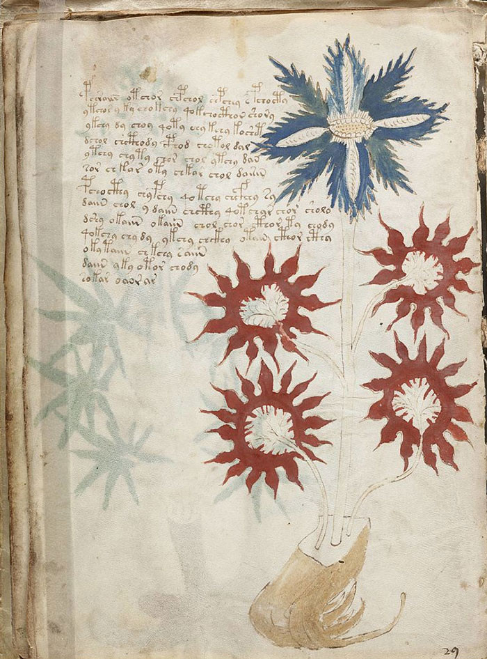 Bản thảo viết tay Voynich này là một cuốn sách 500 năm tuổi được viết bằng một thứ ngôn ngữ kỳ lạ. Nhiều người đã thử "đọc" cuốn sách bí ẩn này, trong đó có cả những nhà giải mã kỳ cựu trong Thế chiến I và Thế chiến II nhưng đến giờ vẫn chưa có ai thành công.
