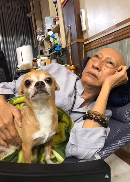 Chia sẻ trên Tiền Phong, Khả Hân - con gái nuôi của nghệ sĩ Lê Bình cho biết bố của cô nuôi Lucky khoảng 7, 8 năm nay. Ảnh: FBNV