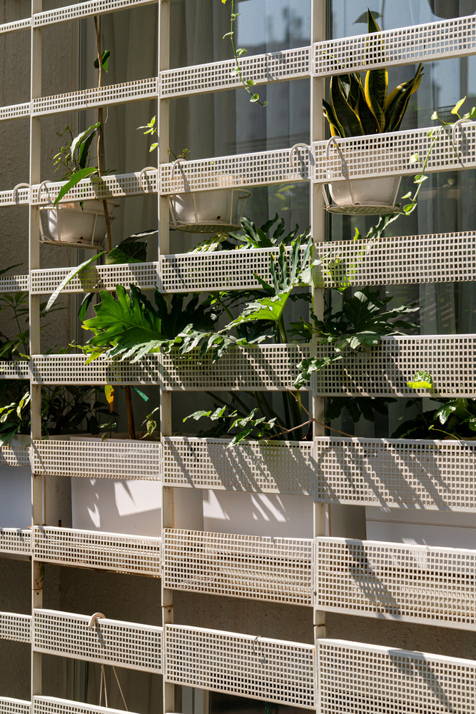 Toàn bộ cây xanh ở các tầng trên được sử dụng làm lớp vỏ ngoài của nhà phố. 