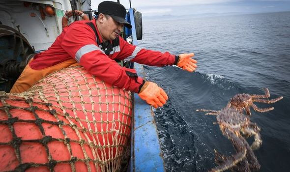 Mùa đánh bắt cua hoàng đế khoảng từ tháng 10 đến tháng 1 năm sau. Mùa thu đông cũng là thời điểm những cơn bão và cái lạnh trở nên khắc nghiệt hơn bao giờ hết. Ảnh: Daily Express