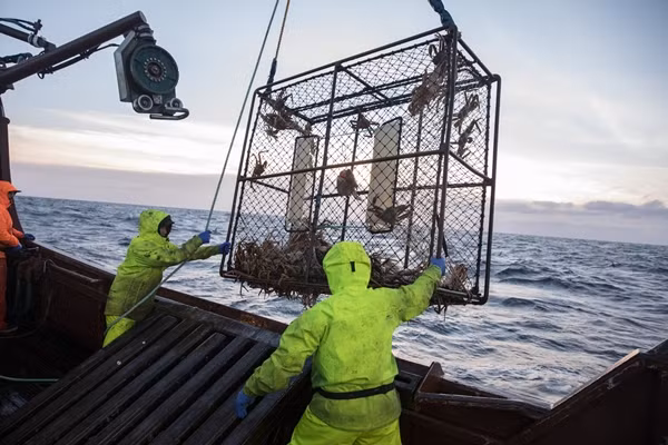 Chiếc lồng thép đung đưa trong trận cuồng phong có thể kéo cả người xuống biển ở nhiệt độ -7 độ C. Người may mắn sống sót qua tai nạn với những chiếc lồng, thì cũng có thể bị hạ thân nhiệt dẫn đến tử vong. Ảnh: Getty