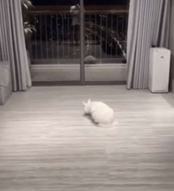 Trong nhà có dàn đèn led âm tường sang trọng, có thể điều chỉnh nhiều góc độ ánh sáng khác nhau tùy nhu cầu sử dụng.