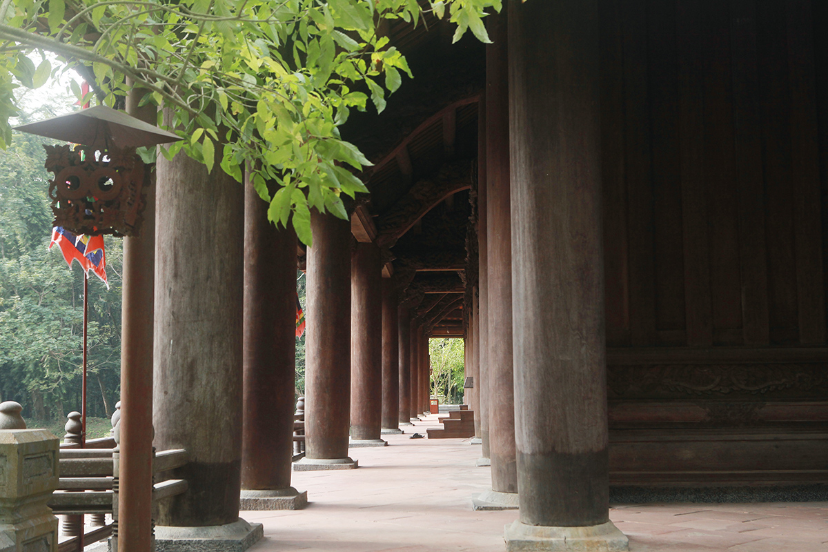 Cận cảnh cột gỗ lim đồ sộ. Ảnh: Plo