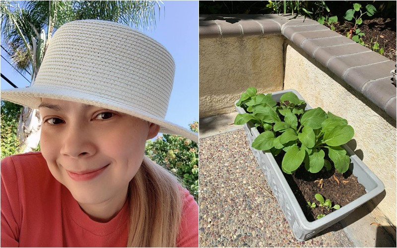 Thanh Thảo thậm chí còn đi xin thùng xốp về trồng cây.