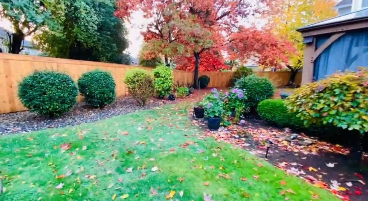 Vườn cây rộng rãi, thoáng mát là nơi hưởng thụ không khí trong lành của nam ca sĩ. Nguồn ảnh: chụp màn hình