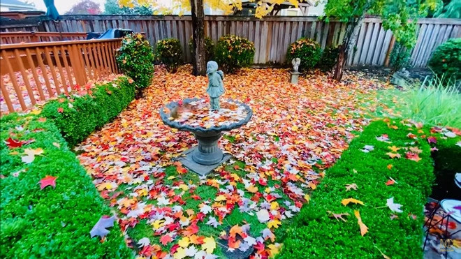 Đây là không gian khá thích hợp để viết lên những ca khúc lãng mạn trong một chiều thu lá bay.