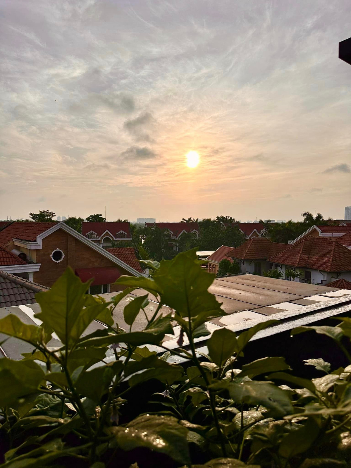 Mới đây, diễn viên Diệp Bảo Ngọc chia sẻ bình minh từ khu vườn trên cao của mình. Với người đẹp, đó là cảm giác thật bình yên.