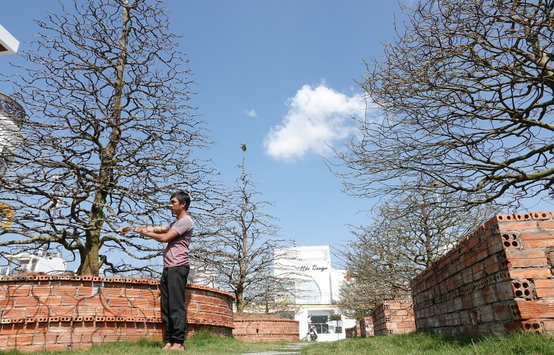 Trong khuôn viên trưng bày rộng hơn 6.000m2, những cây mai vàng được trồng ngay hàng thẳng lối và sắp xếp theo dáng hình đẹp mắt. Ảnh: Thuonghieusanpham