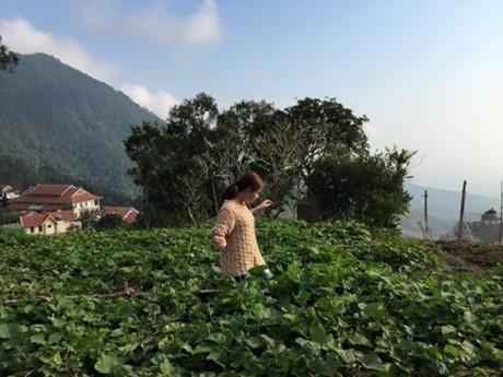 Cơ ngơi tại quê nhà của Hoàng Thuỳ Linh được ví như một điền trang, đồ sộ giữa vùng thôn quê, xung quanh có vườn rộng lớn.