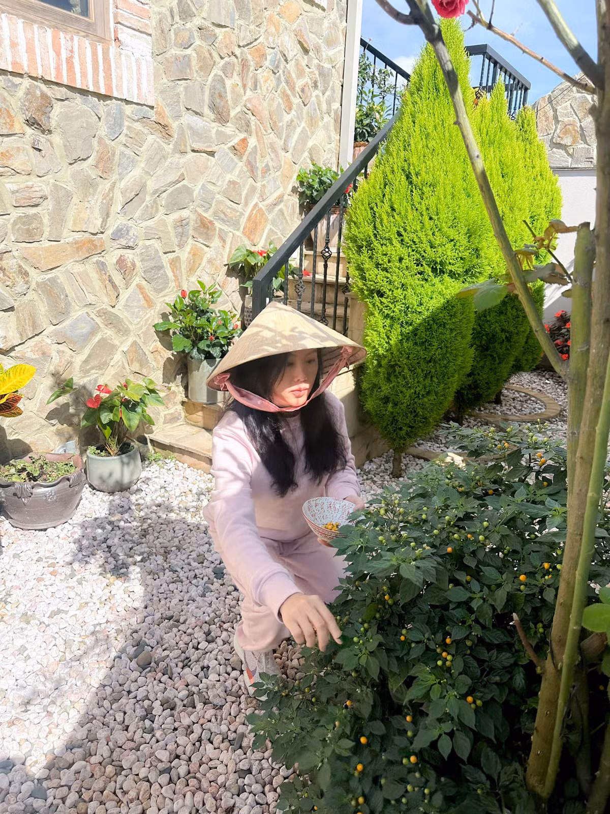 Trong khuôn viên sân vườn, Thu Hoài còn trồng ớt Peru.