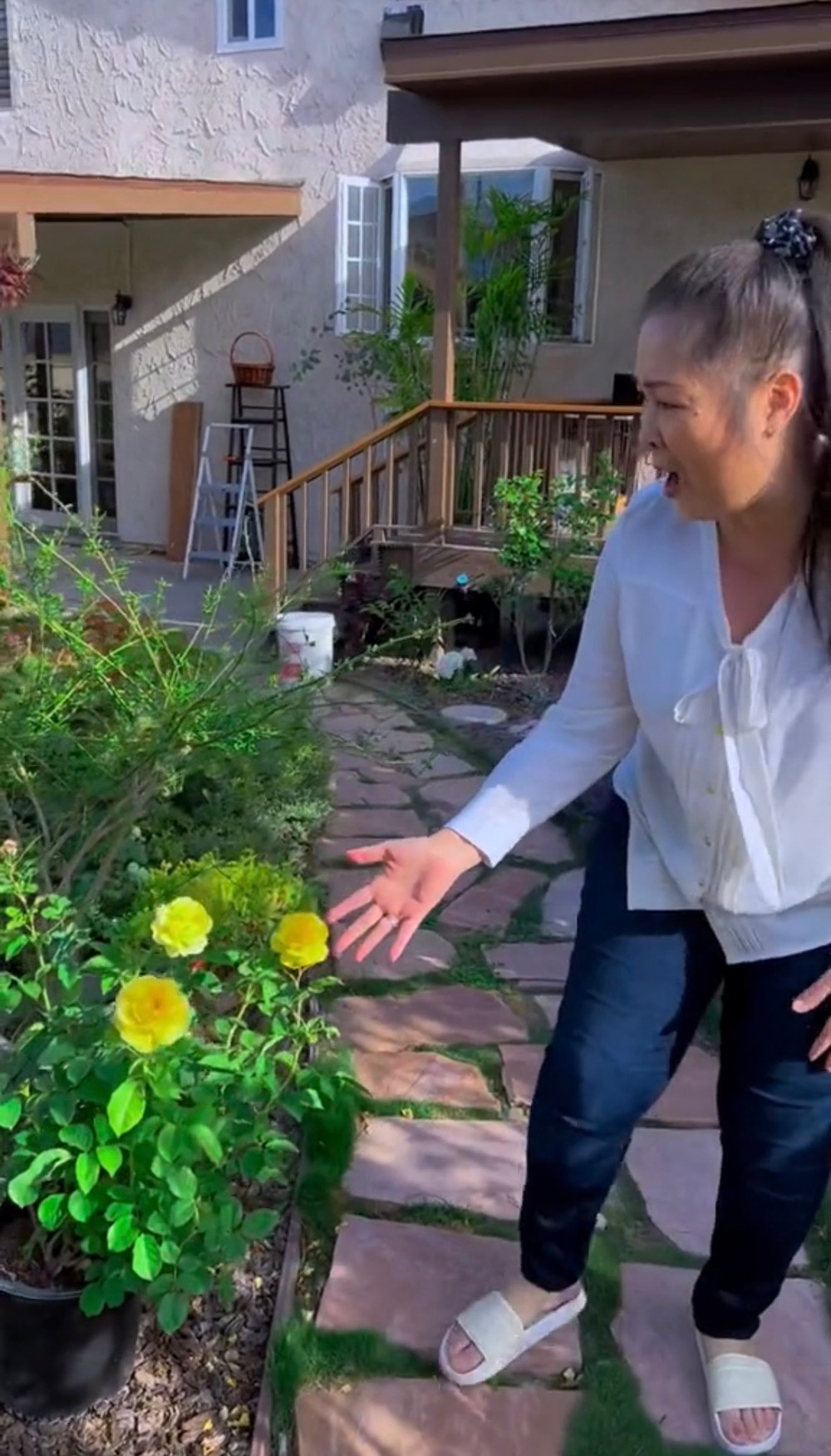 Trong vườn có vô số loài cây cho ra hoa bắt mắt, màu sắc hấp dẫn. Ảnh: Hồng Vân Entertainment