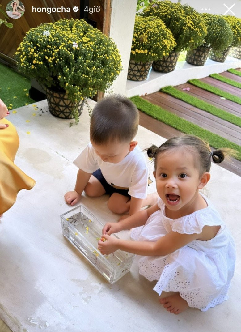 Màu vàng của hoa cúc kết hợp với màu vàng nâu của sàn gỗ, cánh cửa gỗ tạo cảm giác sang trọng, bắt mắt.