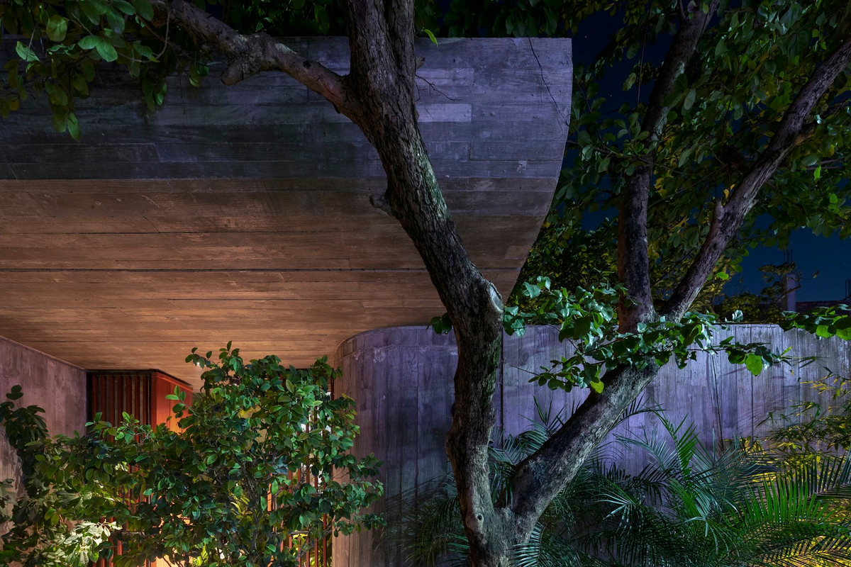 Đi sâu vào trong là một khu vườn khác đóng vai trò quan trọng trong việc thông gió và điều hòa nhiệt độ cho ngôi nhà, giảm tác động của ánh nắng chói chang từ hướng Tây.