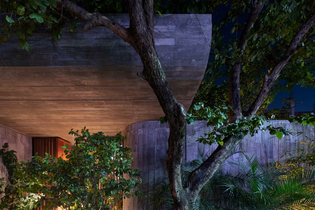 Đi sâu vào trong là một khu vườn khác đóng vai trò quan trọng trong việc thông gió và điều hòa nhiệt độ cho ngôi nhà, giảm tác động của ánh nắng chói chang từ hướng Tây.