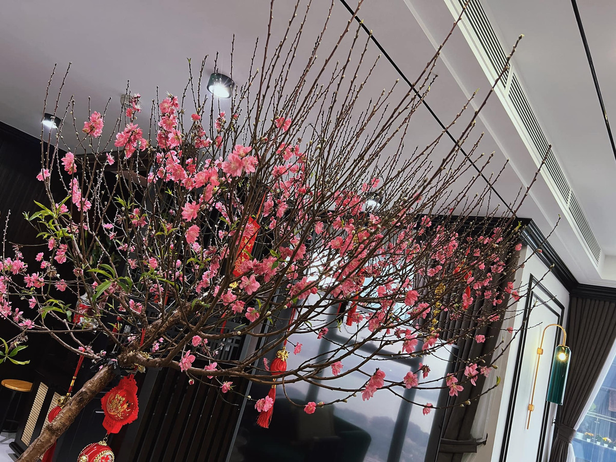 Căn hộ là món quà mà Phương Oanh tự thưởng cho mình nhằm đánh dấu một cột mốc mới của bản thân. Nguồn ảnh; FBNV