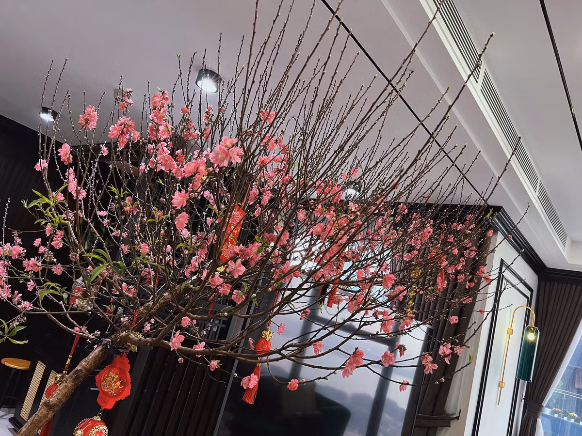 Căn hộ là món quà mà Phương Oanh tự thưởng cho mình nhằm đánh dấu một cột mốc mới của bản thân. Nguồn ảnh; FBNV