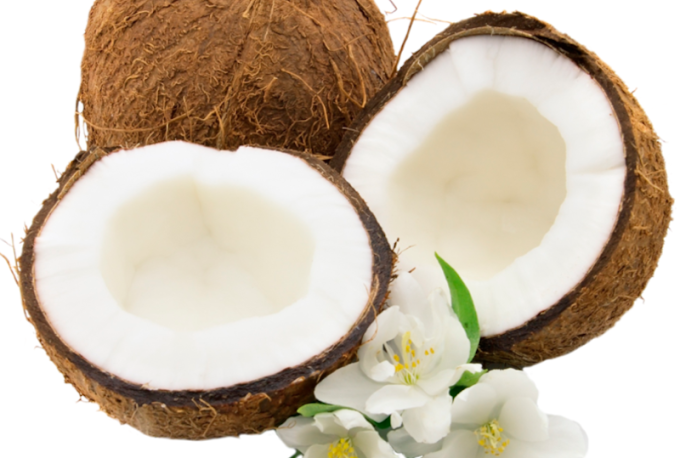 Năm 2021, dừa sáp tươi Trà Vinh xuất sang Australia đã được bán hết sau thời gian ngắn thông quan, phân phối. Mỗi trái dừa có giá 30-35 AUD (khoảng 600.000 đồng). Ảnh: Duasaptv