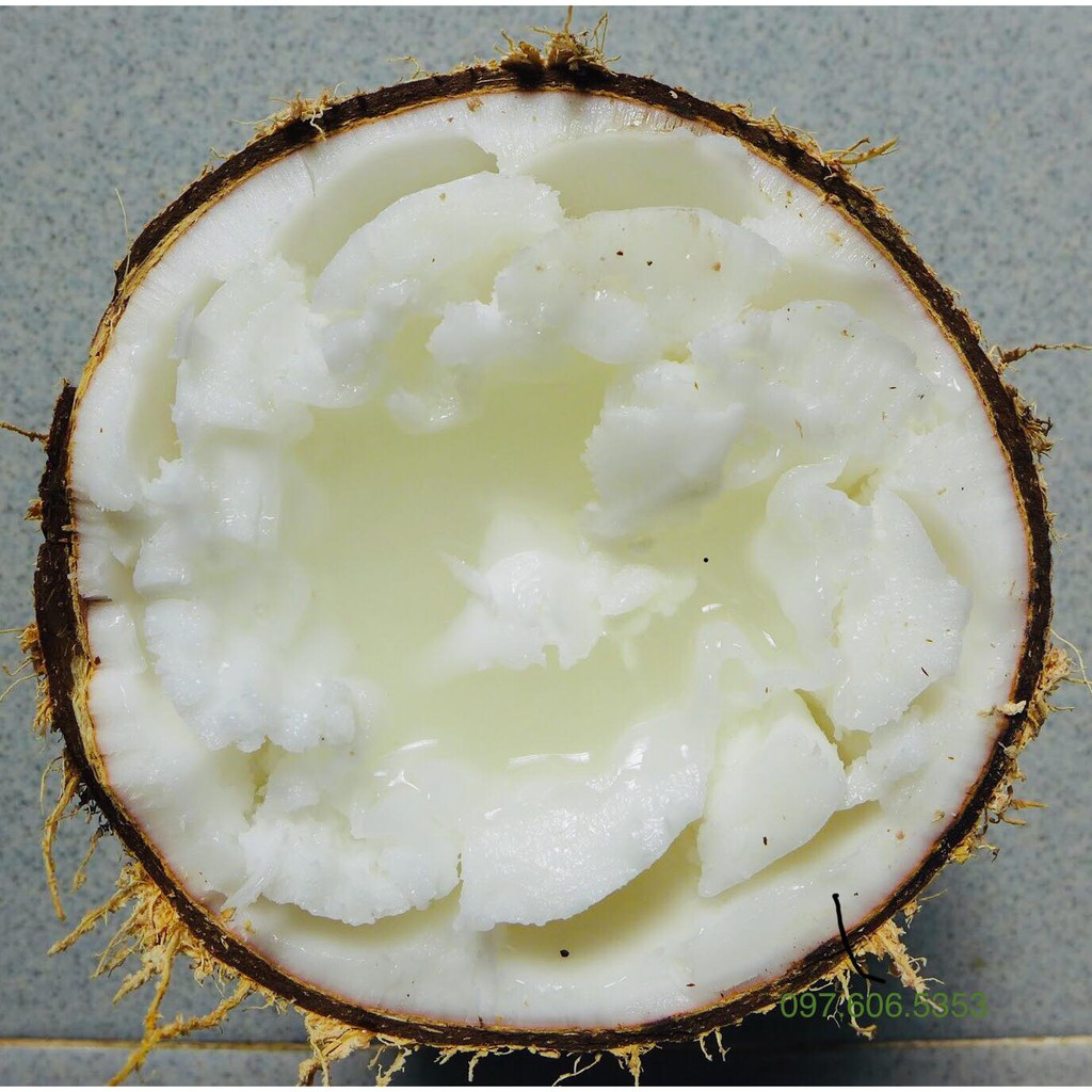 Dừa sáp khá đặc biệt ở chỗ, sau khi trải qua giai đoạn non, cơm dừa và nước dừa vẫn tiếp tục phát triển dày dần phần cơm dừa lên lấp gần đầy khoảng trống của gáo dừa, chỉ để lại một không gian nhỏ chính giữa với chất lỏng sệt, có mùi thơm đặc trưng. Ảnh: Aloduasap