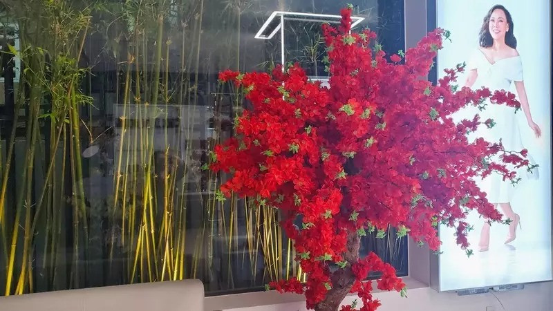 Trước đó, vợ chồng Việt Hương - Hoài Phương sở hữu một số bất động sản giá trị, cả ở Mỹ và Việt Nam. Biệt thự ở Việt Nam trước đó của nữ danh hài hoành tráng không kém cơ ngơi mới. Ảnh: Lao động