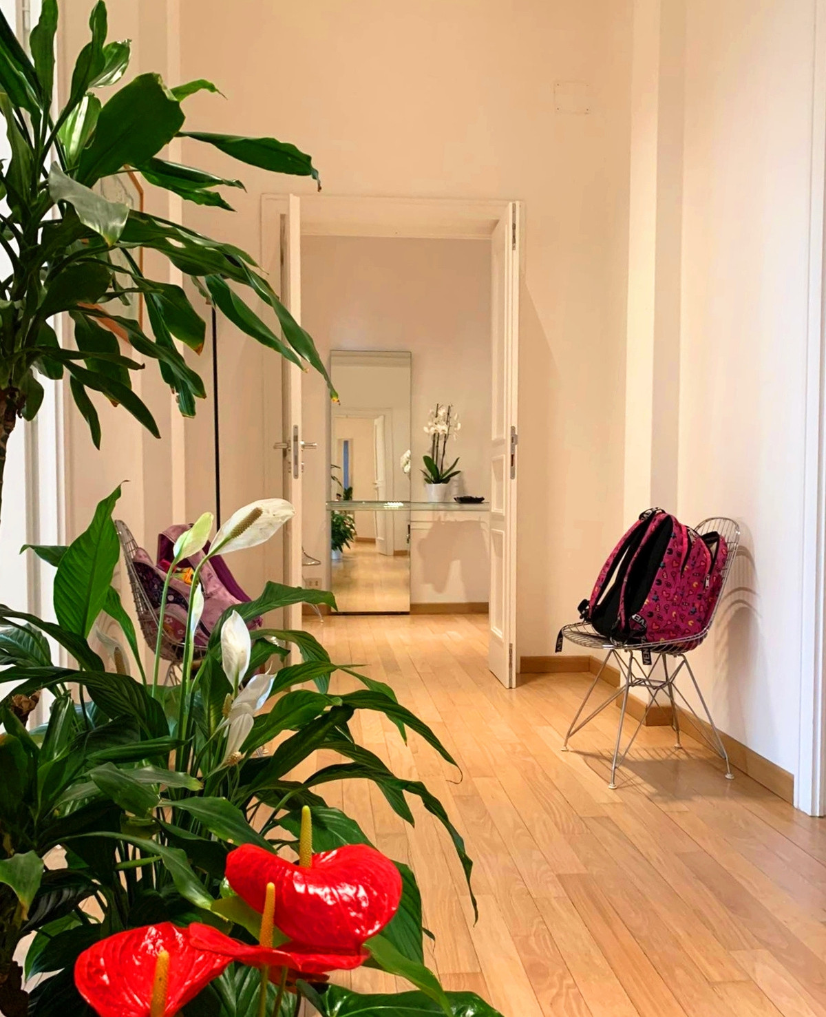 Bên trong căn hộ được trang trí nhiều cây xanh. Ảnh: Vietnamnet