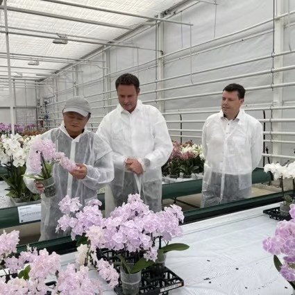 Jack Ma cũng tới một trường đại học ở Hà Lan để tìm hiểu về sản xuất thực phẩm bền vững. Ảnh: SCMP