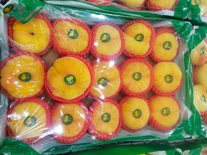 Giá cao gấp 5-6 lần các loại đào khác nhưng đào dẹt vẫn được ưa chuộng vì hình dáng độc đáo đóng hộp đẹp mắt, có thể dùng để ăn hàng ngày, tiếp khách hoặc đi biếu. Ảnh: Facebook