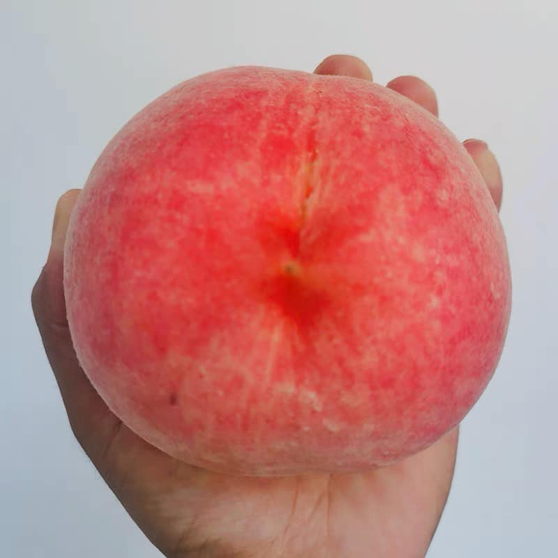 Dù giá cao nhưng đào tiên Bắc Kinh vẫn được nhiều khách hàng chọn bởi tráo to, mẫu mã bắt mắt mà phần thịt còn giòn, ngọt. Ảnh: Facebook