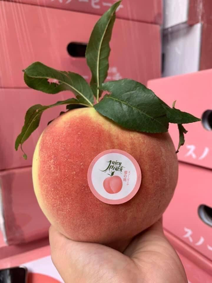 Tính ra, giá đào tiên dao động từ 160.000-200.000 đồng/kg, tương đương 55.000 - 70.000 đồng một quả. Ảnh: Facebook