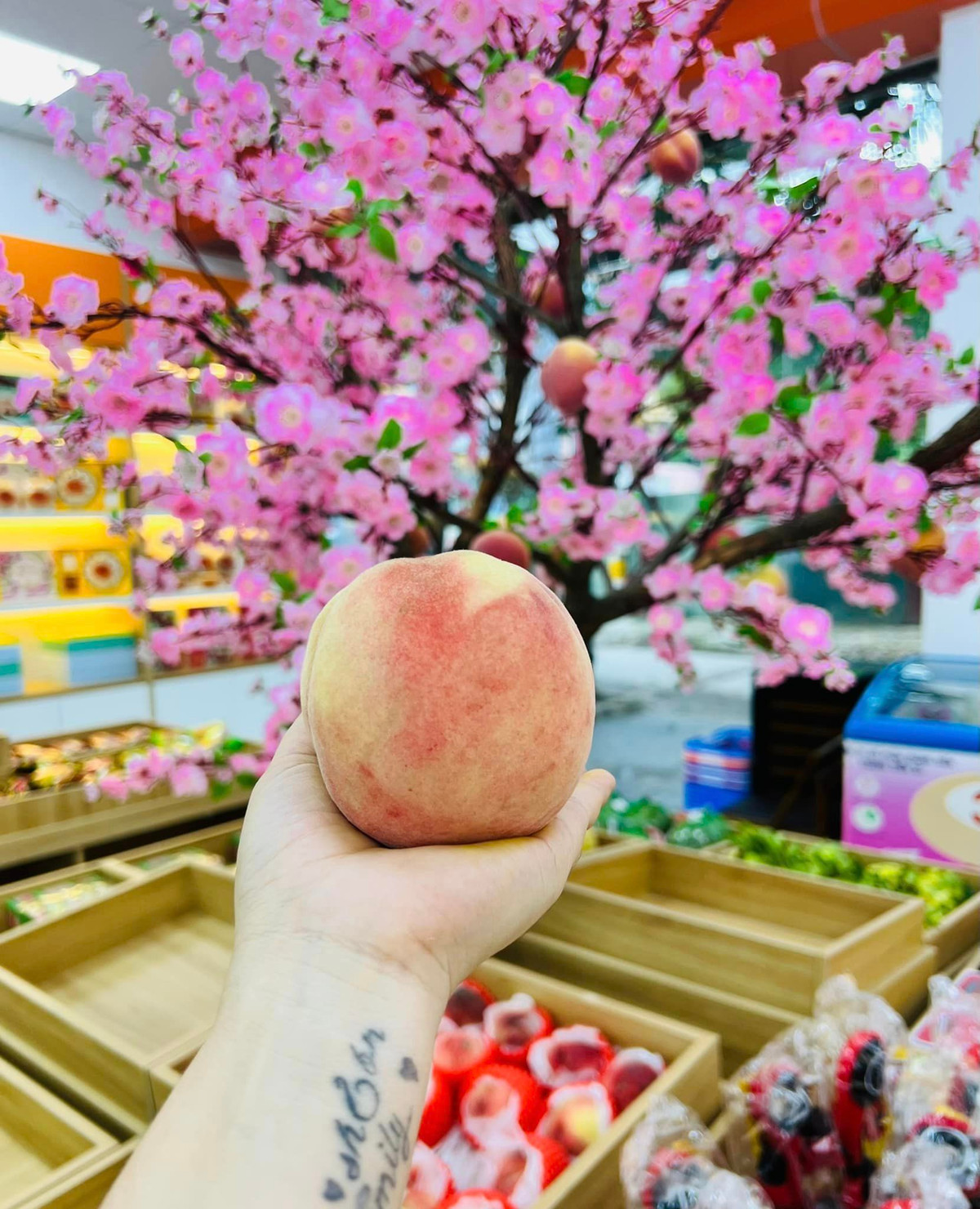 Loại đào này được gọi là đào tiên Bắc Kinh hay đào đỏ Yamanashi giống Nhật trồng tại Trung Quốc. Đầu mùa, loại đào này có giá tới 500.000 đồng/thùng 9 quả. Ảnh: Facebook