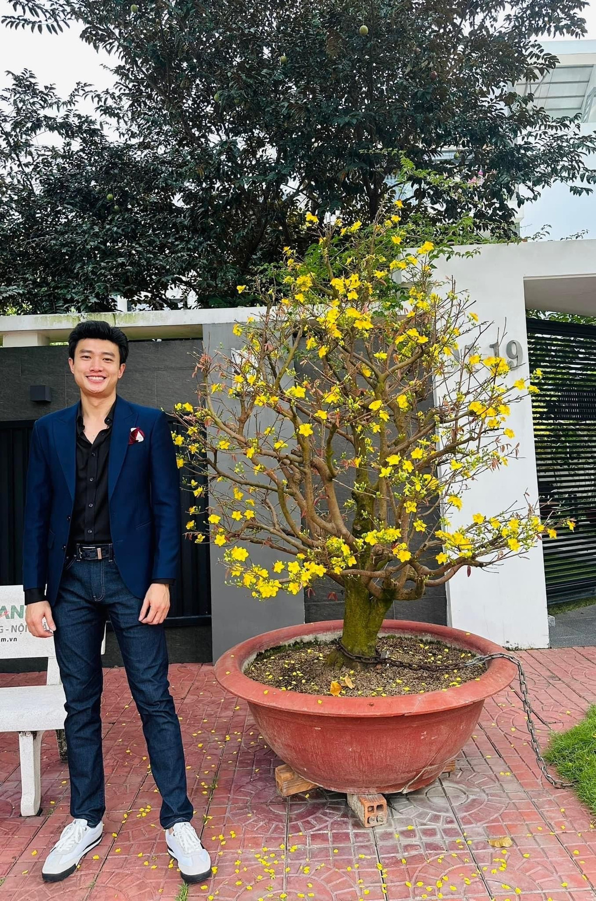 Dịp Tết, Quốc Trường trang trí bằng một chậu mai lớn.