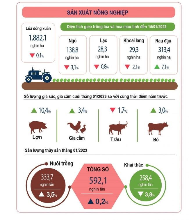 Các chỉ số kinh tế - xã hội tháng 1/2023 duy trì ổn định Cac chi so kinh te - xa hoi thang 1/2023 duy tri on dinh