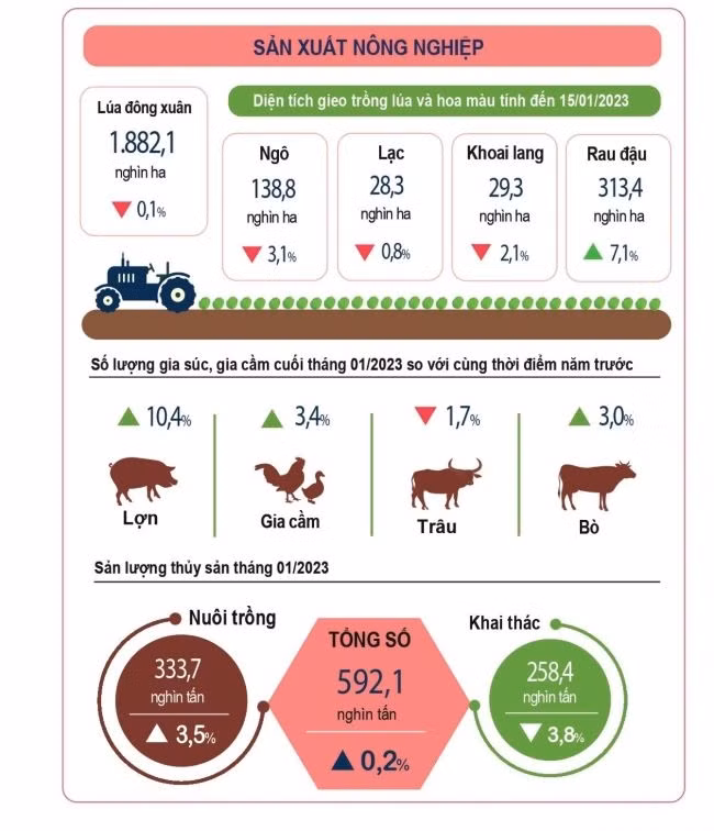 Cac chi so kinh te - xa hoi thang 1/2023 duy tri on dinh