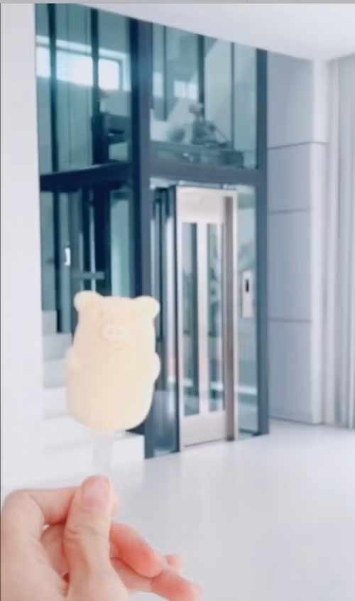 Bên trong biệt thự có thang máy để di chuyển. Ảnh: FBNV