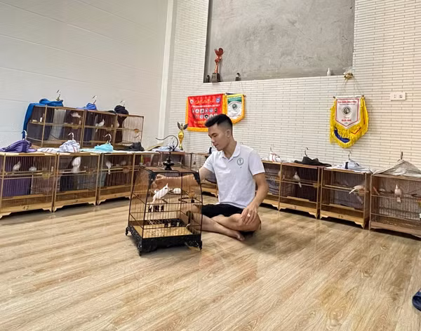 Cũng có niềm đam mê chim cảnh, anh Tuấn Anh (Nghệ An) sở hữu một bộ sưu tập chim chào mào đột biến tiền tỷ. Ảnh: Arttimes