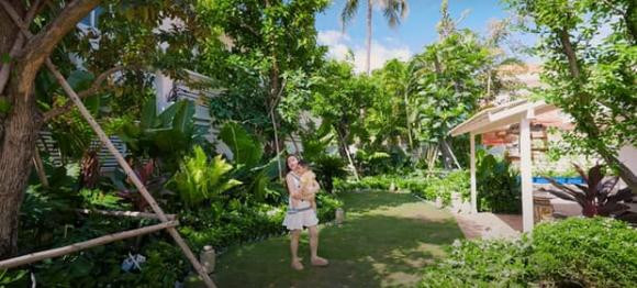 Ngoài giàn thủy canh, vợ chồng Chi Bảo còn trồng thêm một số cây ăn quả như vú sữa, sơ ri.