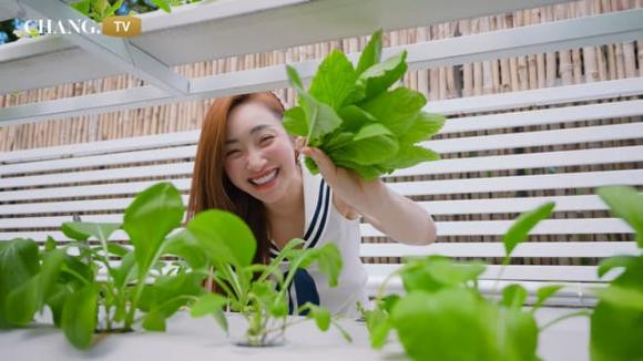 Mới đây, bà xã Chi Bảo - Lý Thùy Trang hé lộ khu vườn xanh mướt trong siêu biệt thự trên kênh YouTube riêng khiến nhiều khán giả trầm trồ.